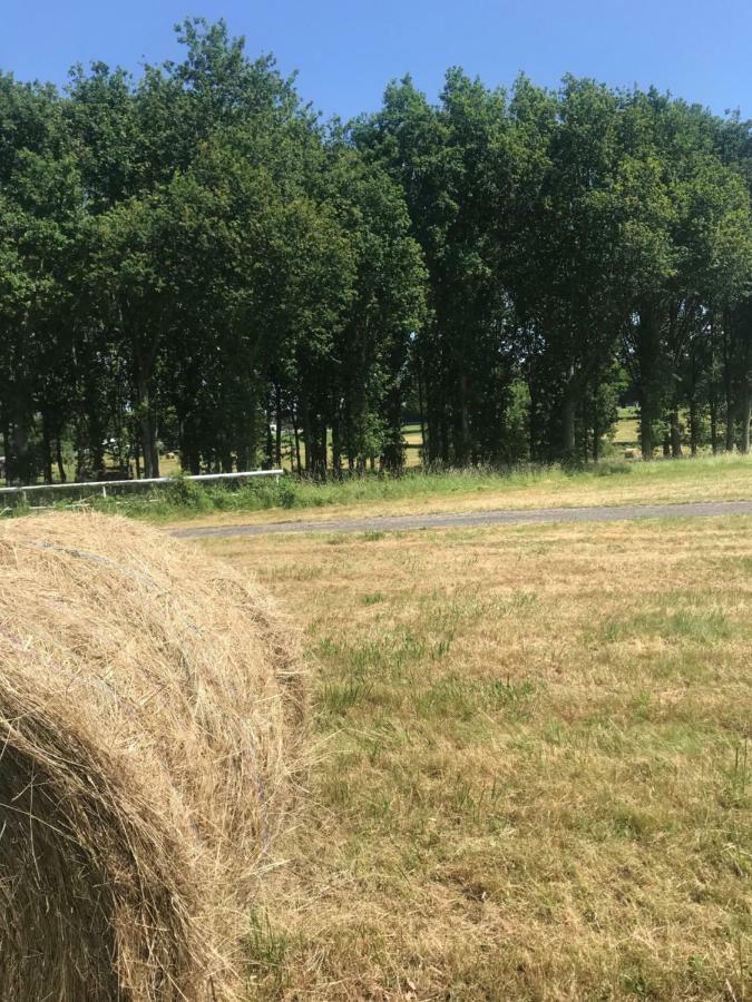 Les Chambres D'Hotes De Rânes Eksteriør bilde